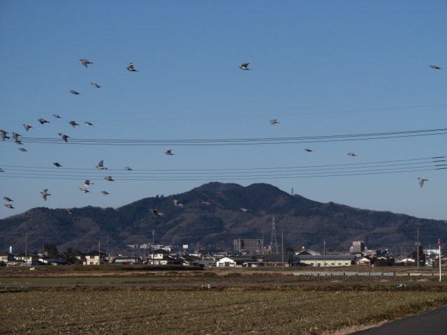 �R�����L