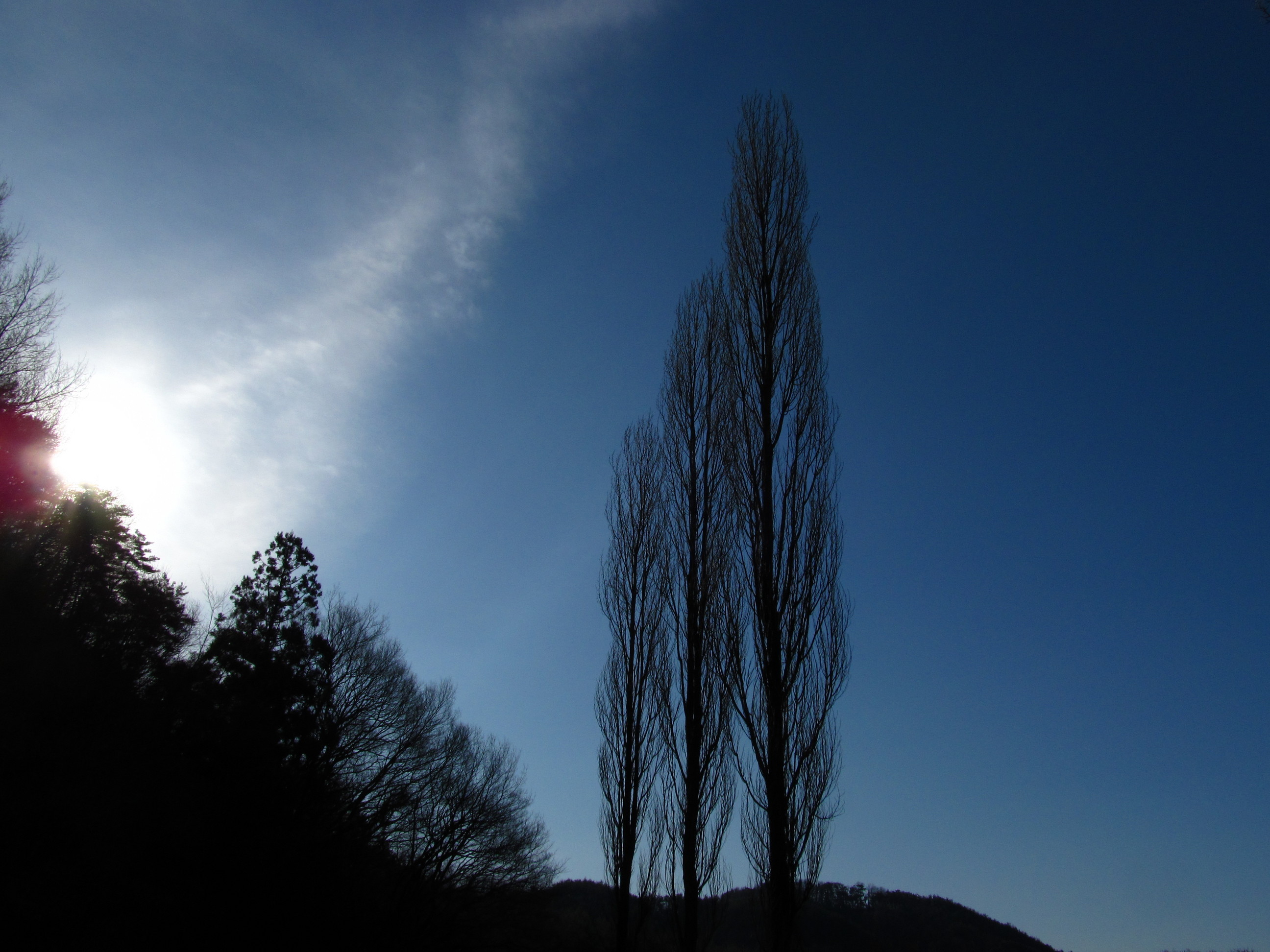 �R�����L