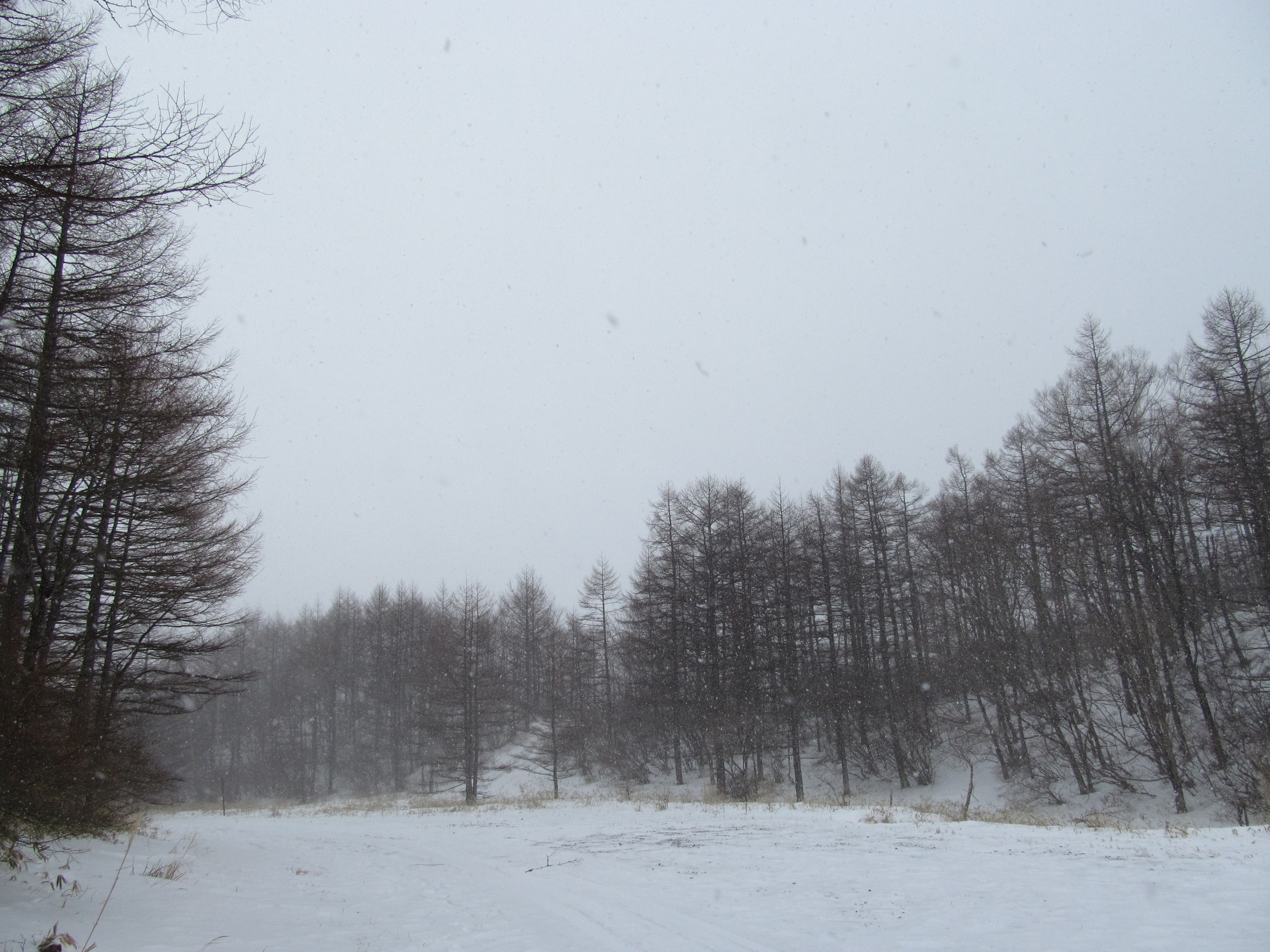 �R�����L