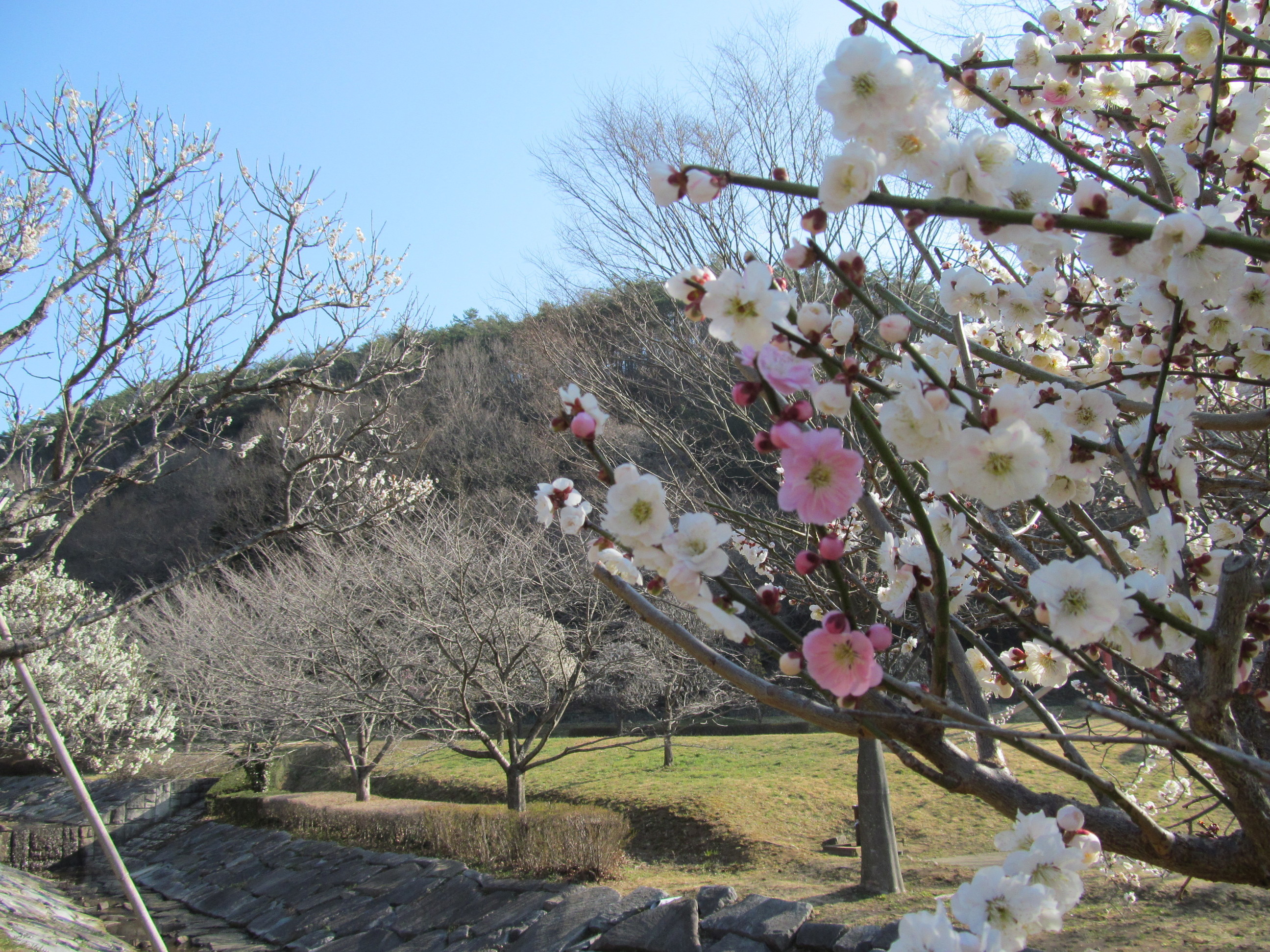 �R�����L