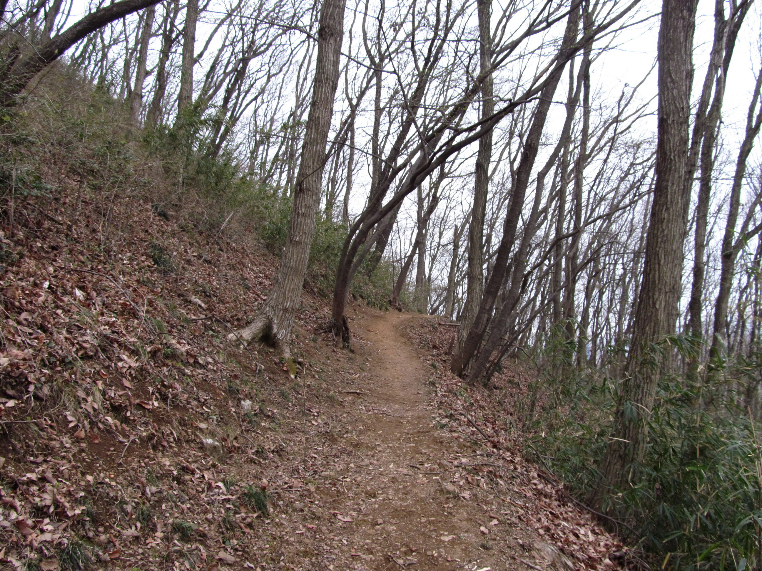 �R�����L