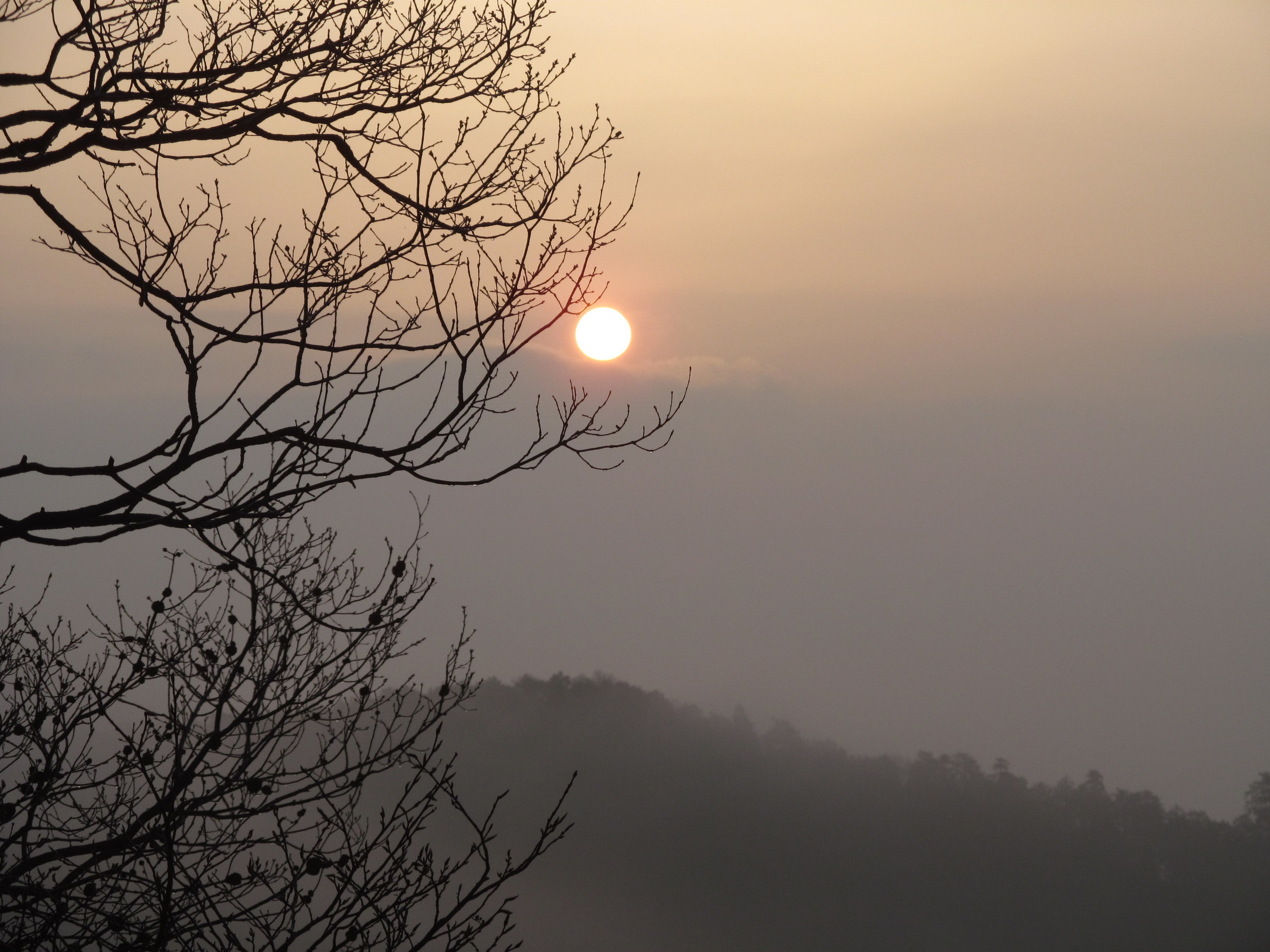 �R�����L