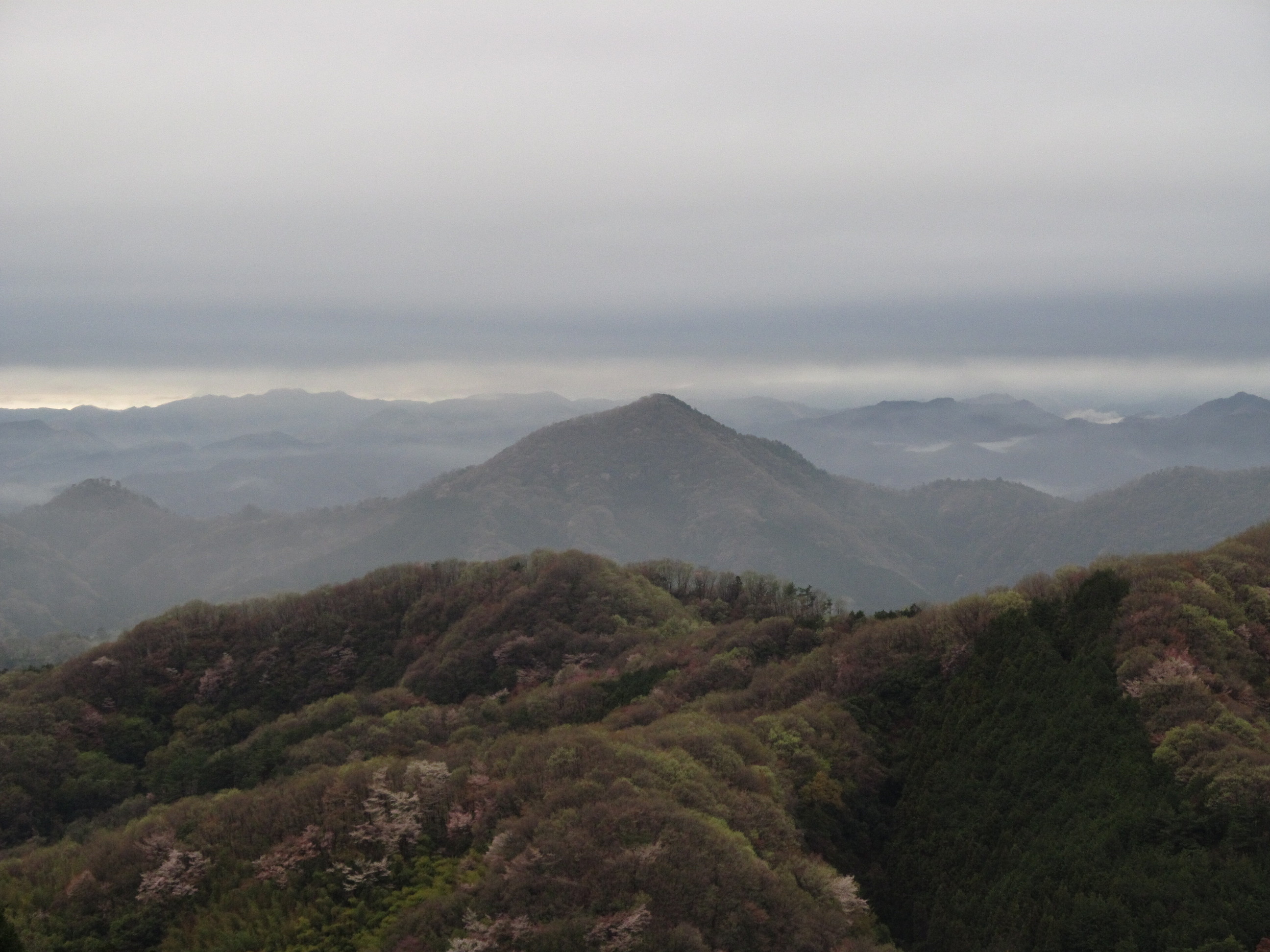 �R�����L