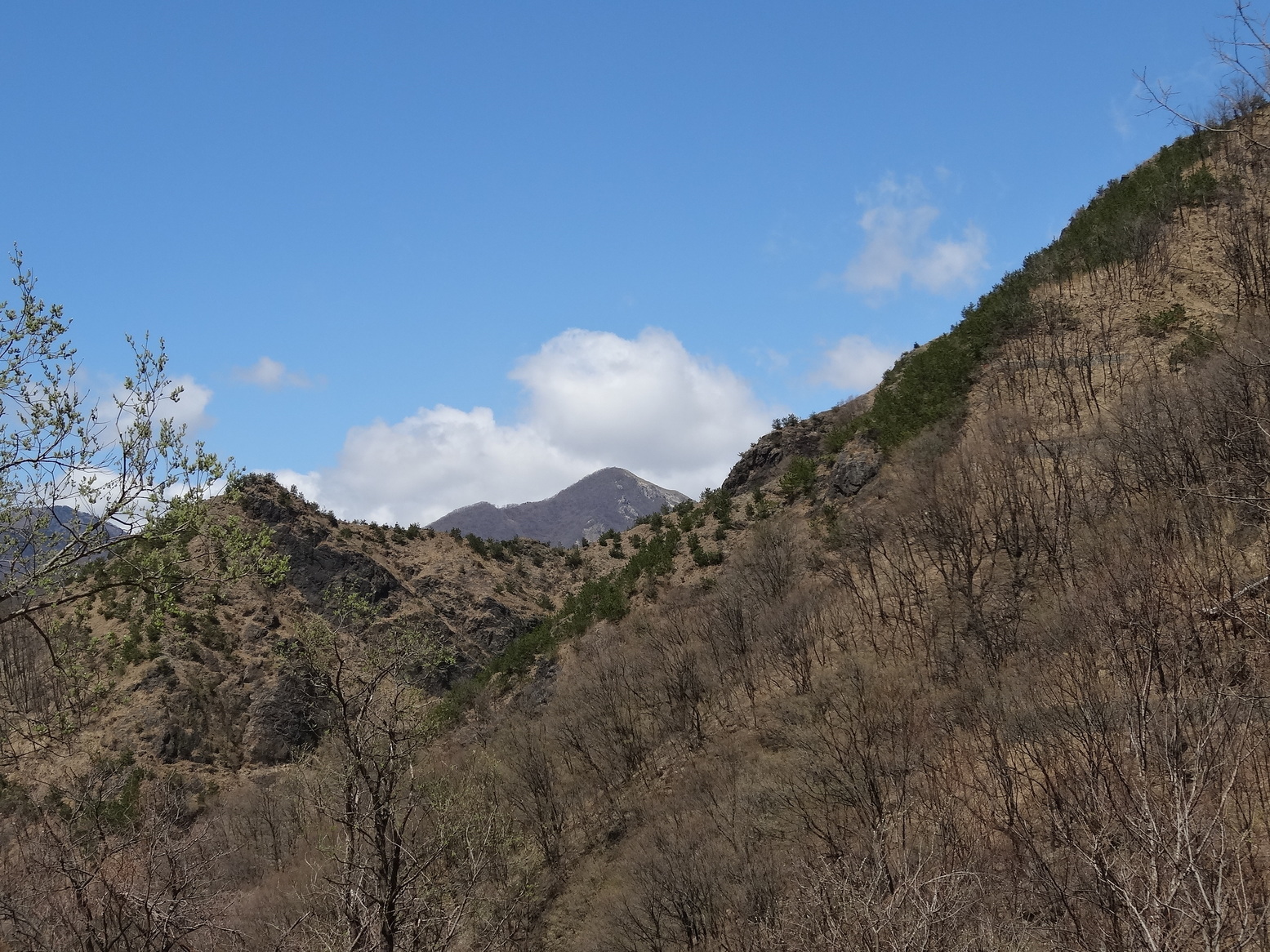 �R�����L