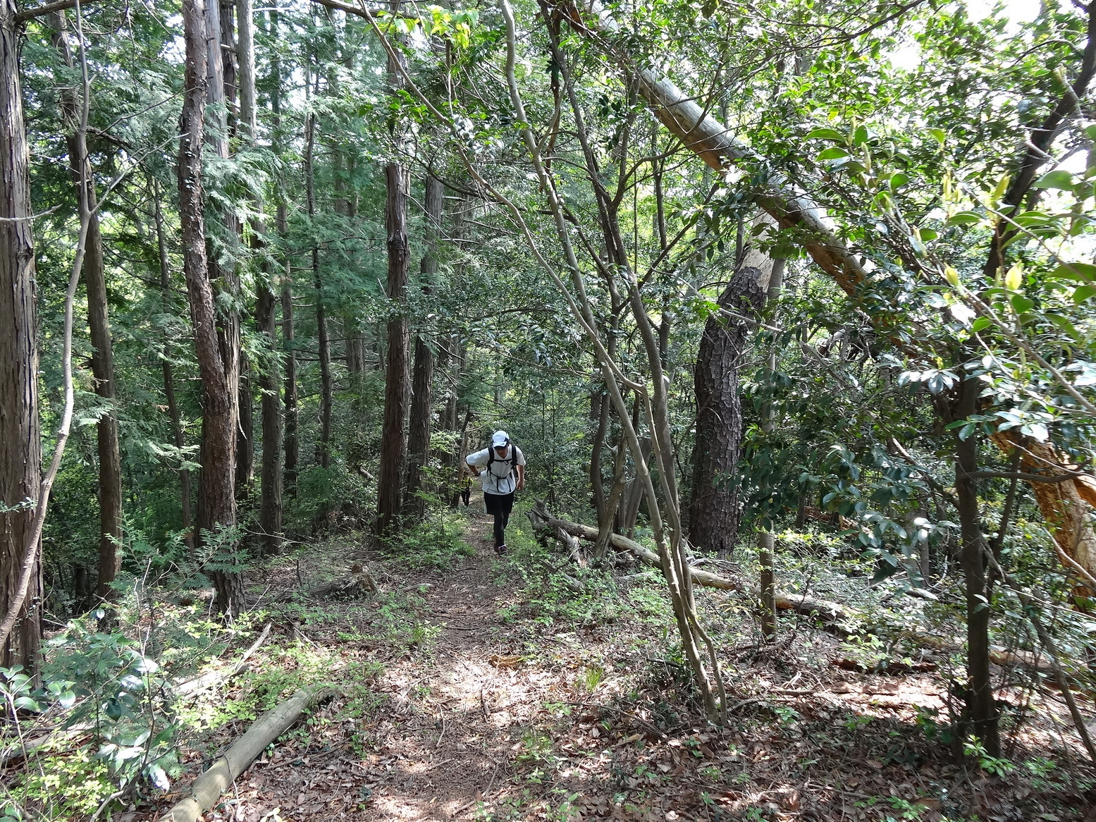 �R�����L