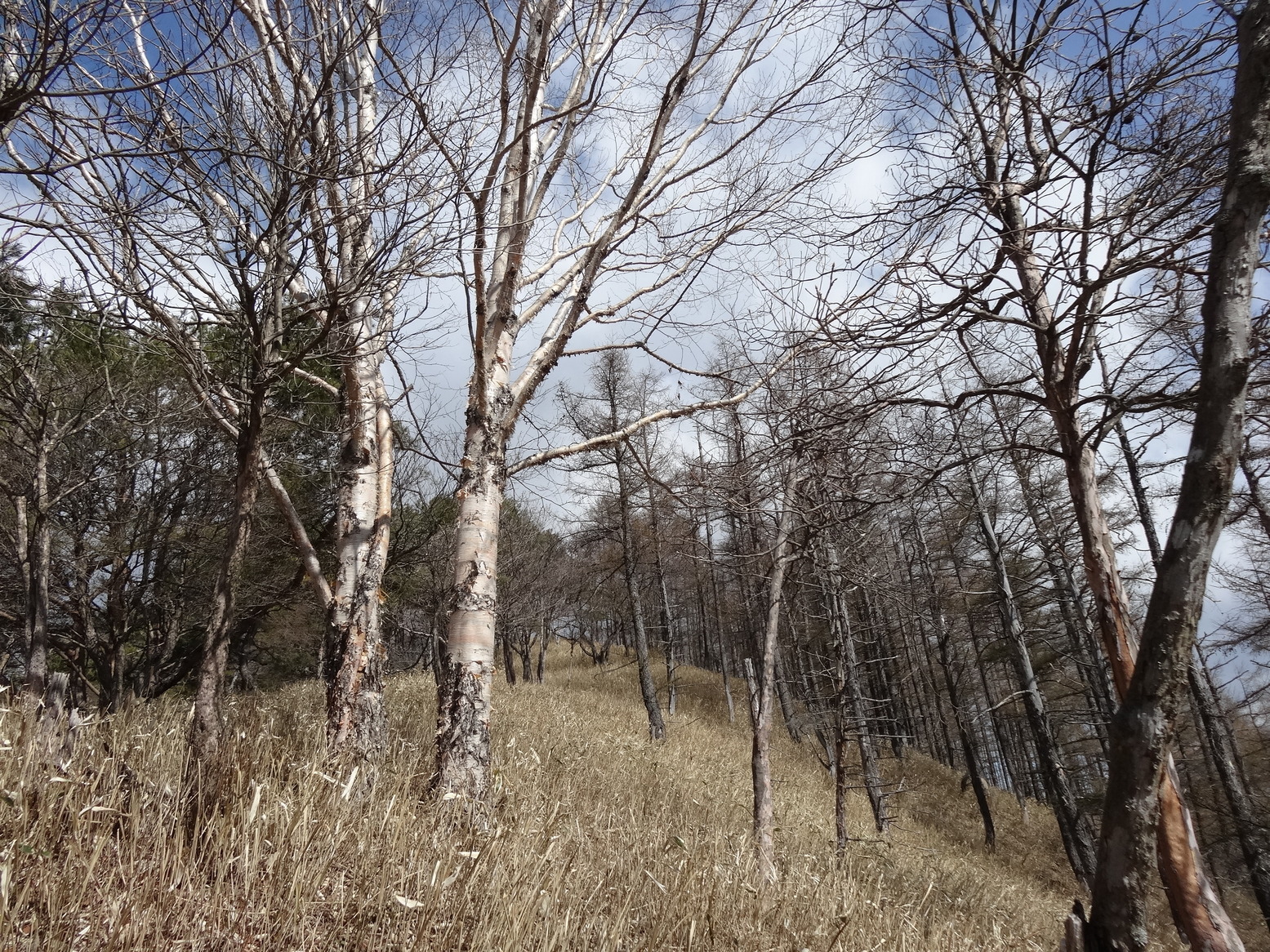 �R�����L