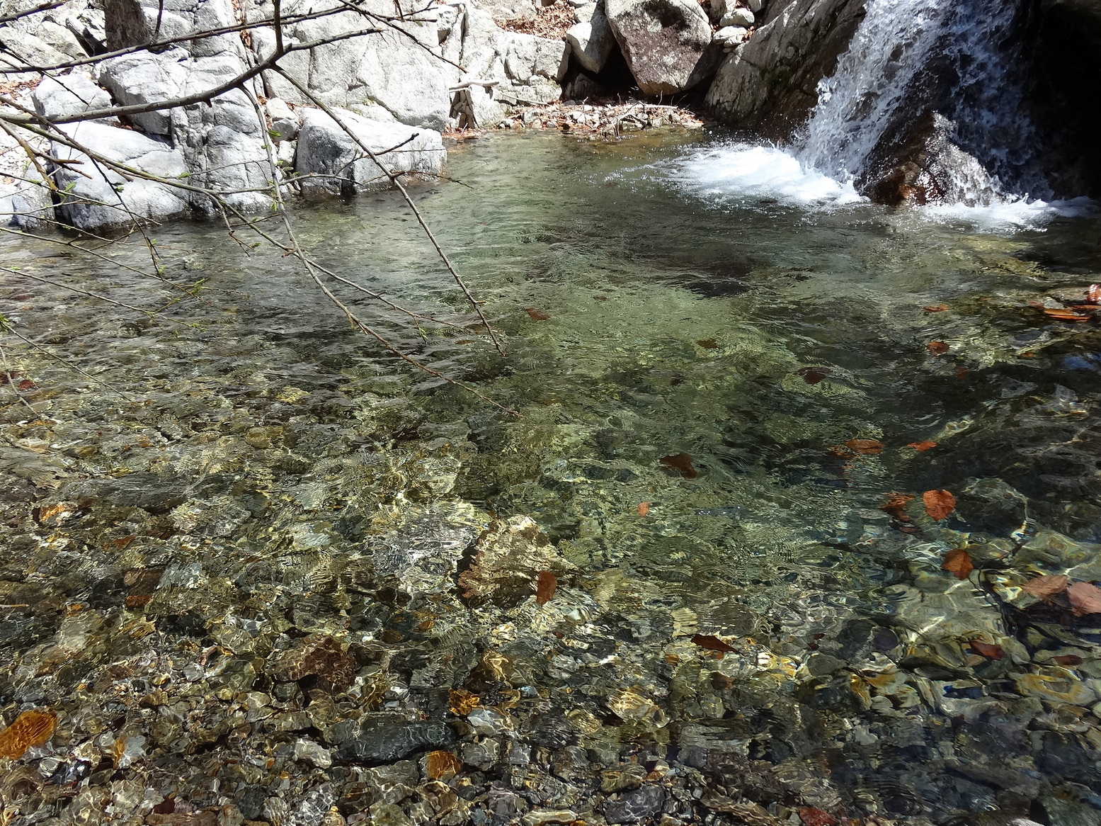 �R�����L