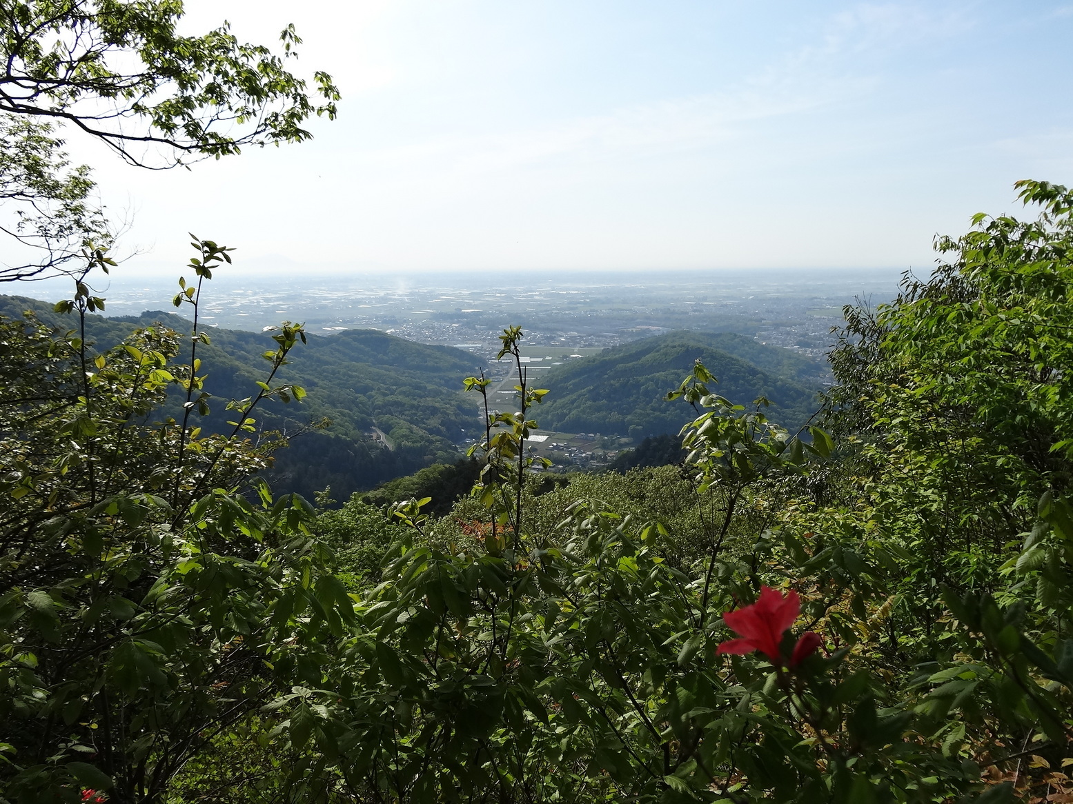 �R�����L