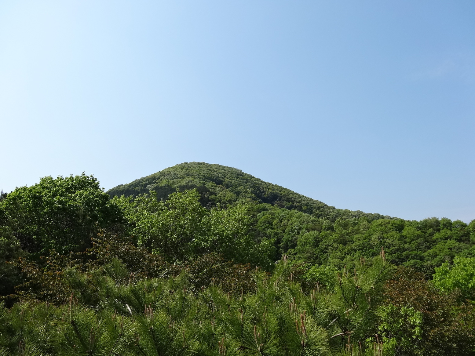 �R�����L