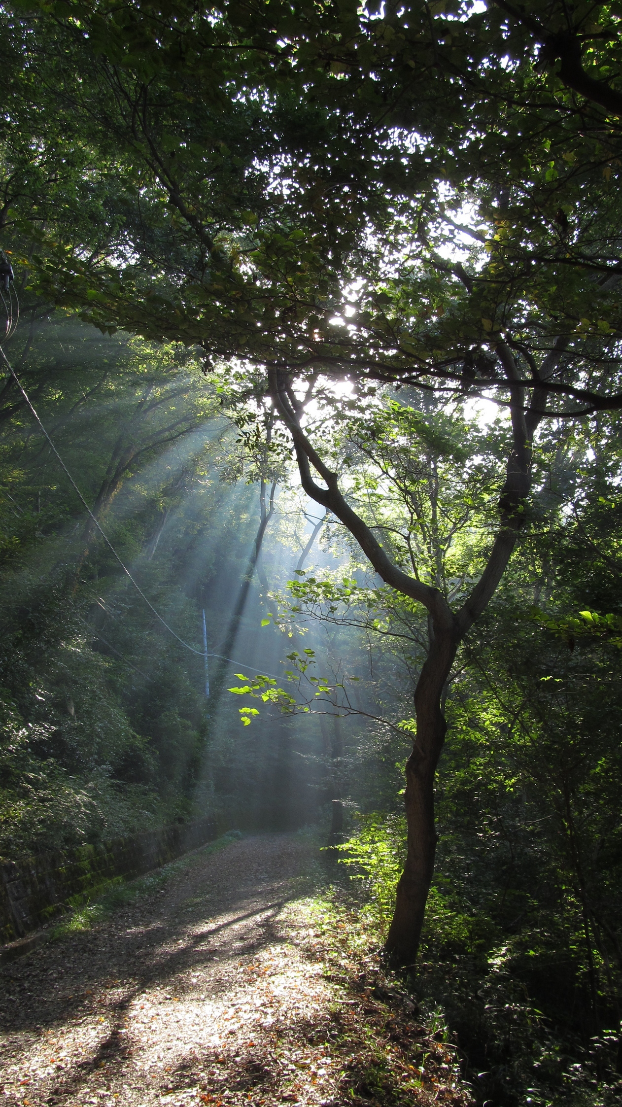 �R�����L