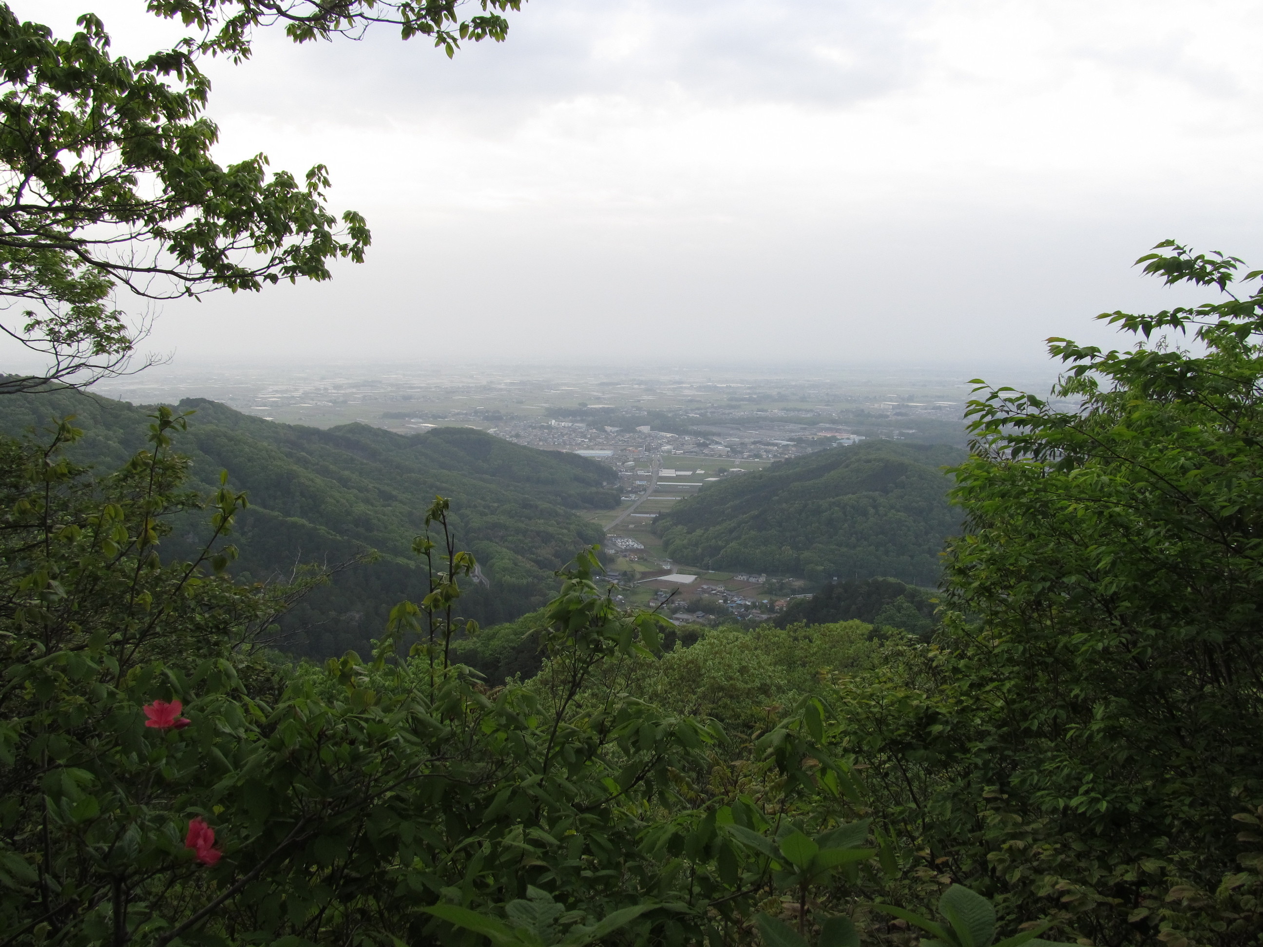 �R�����L