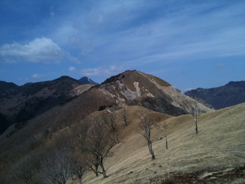 �R�����L