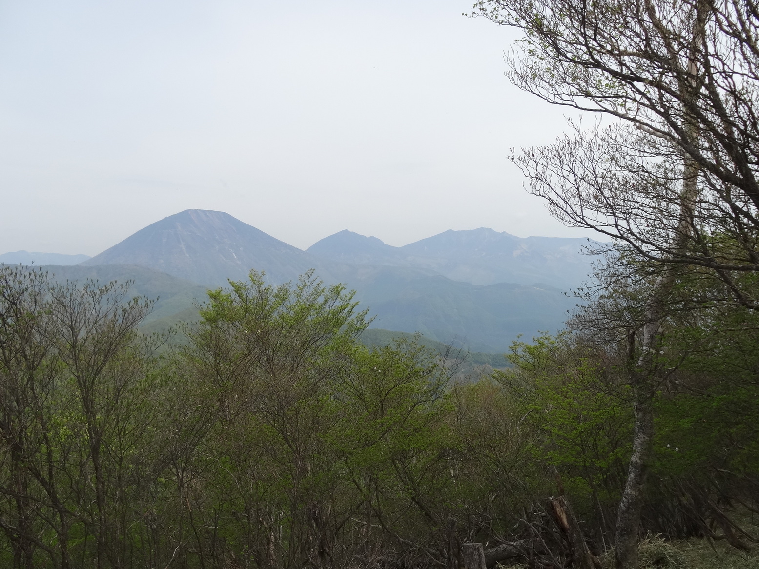 �R�����L