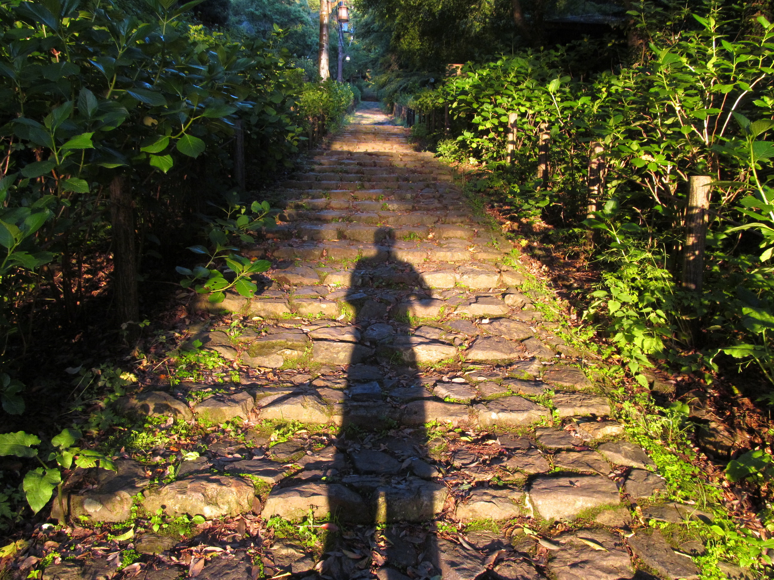 �R�����L