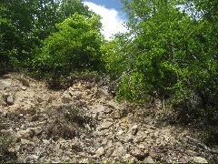 �R�����L