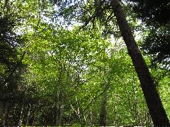 �R�����L