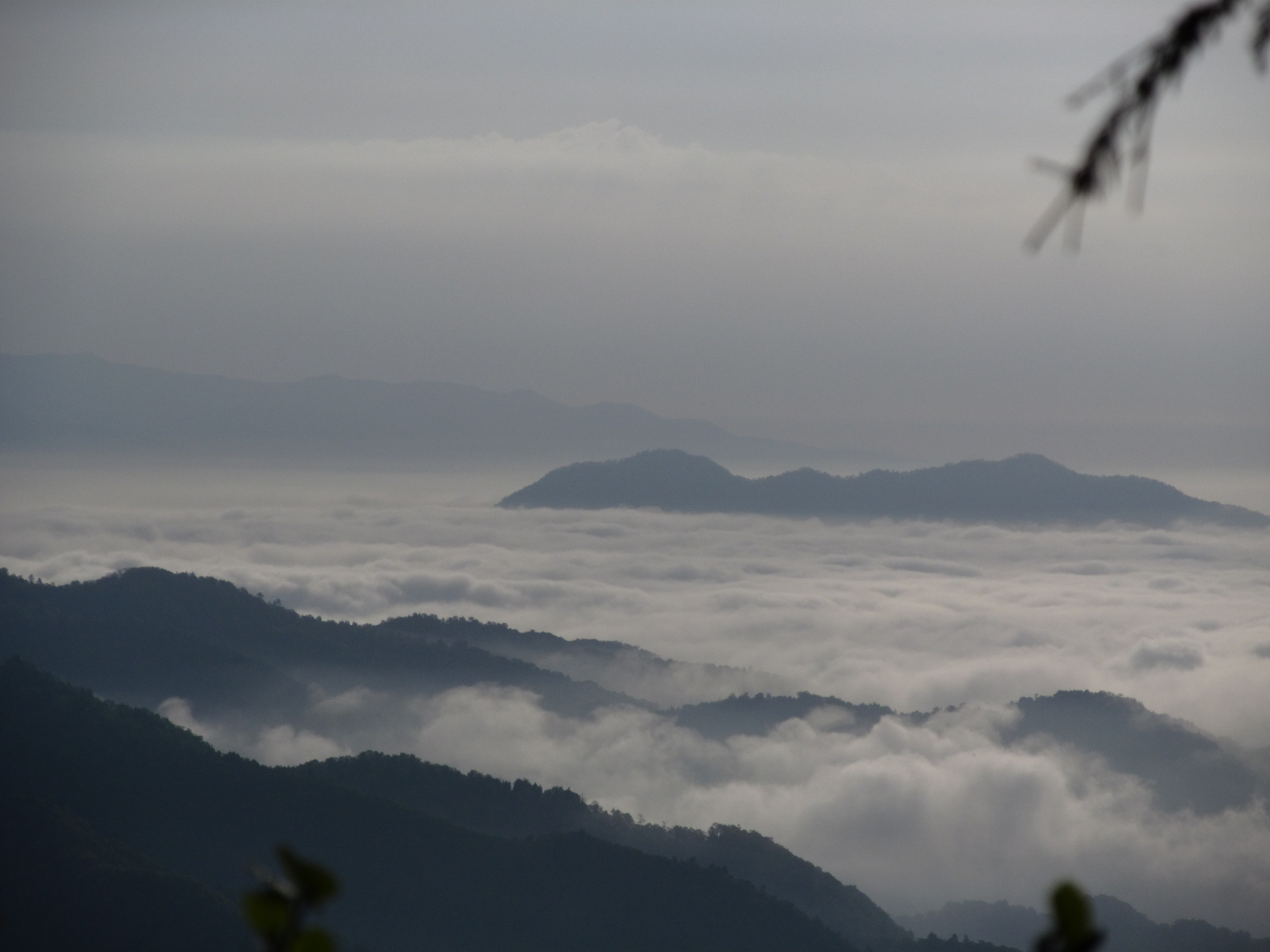 �R�����L