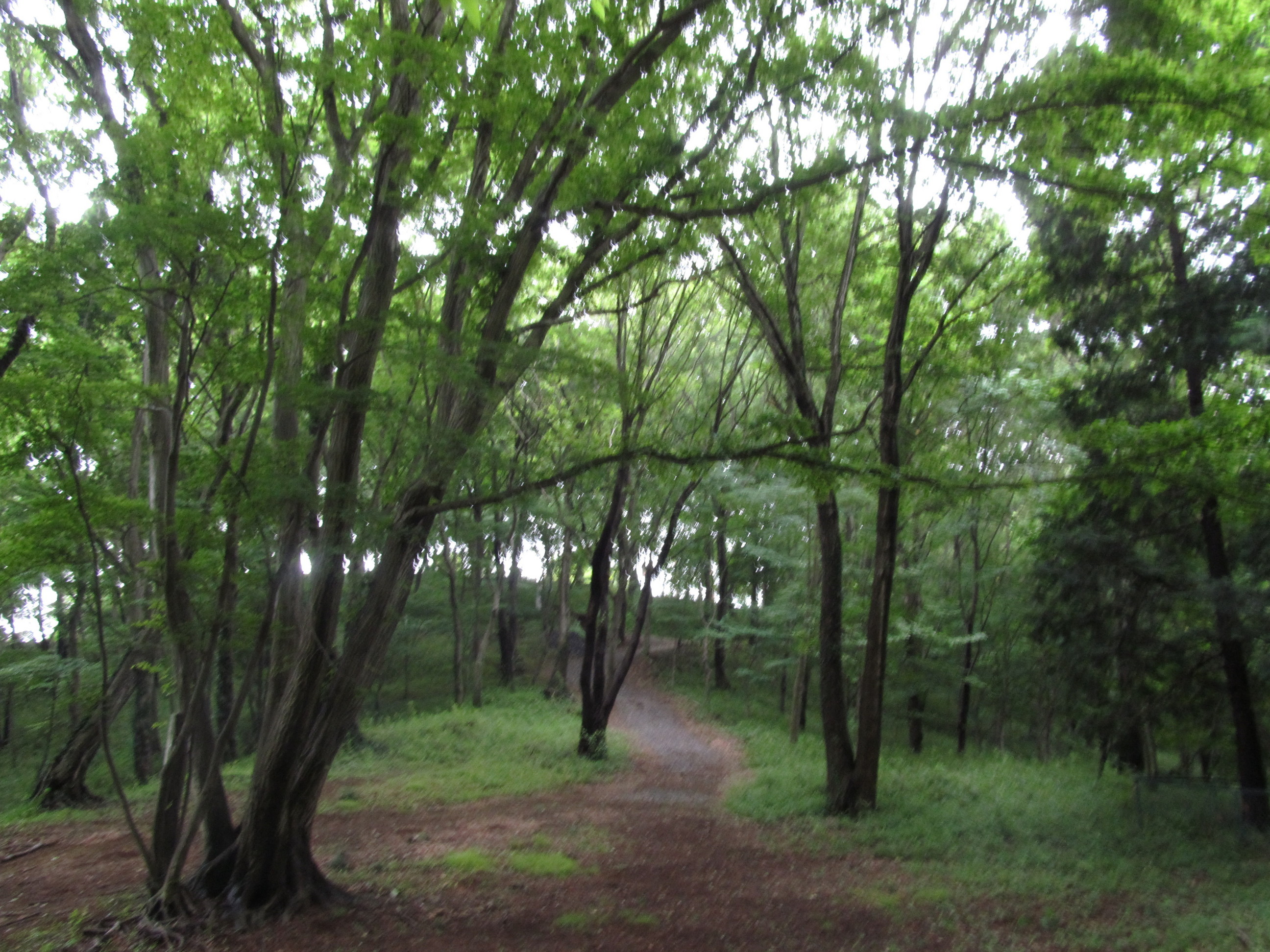 �R�����L