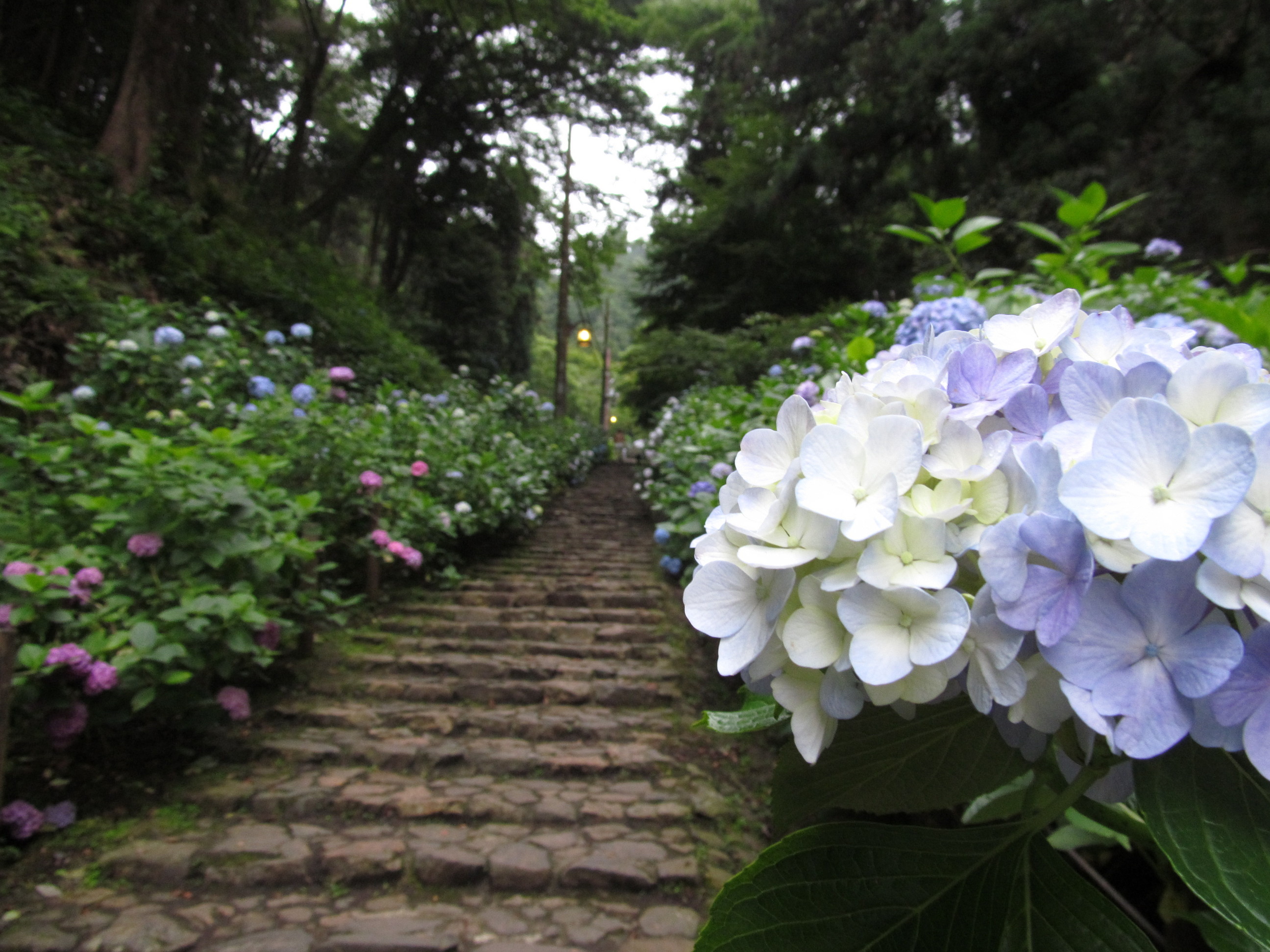 �R�����L