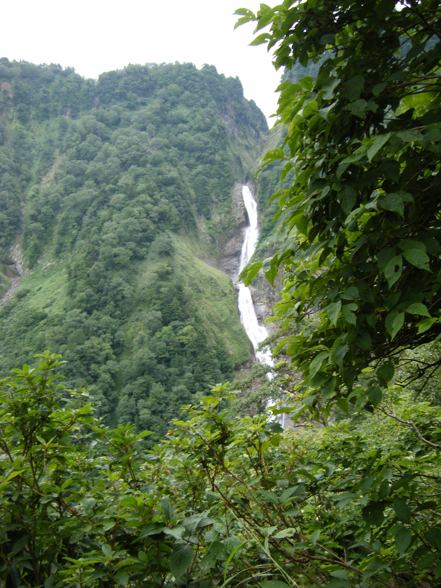 �R�����L