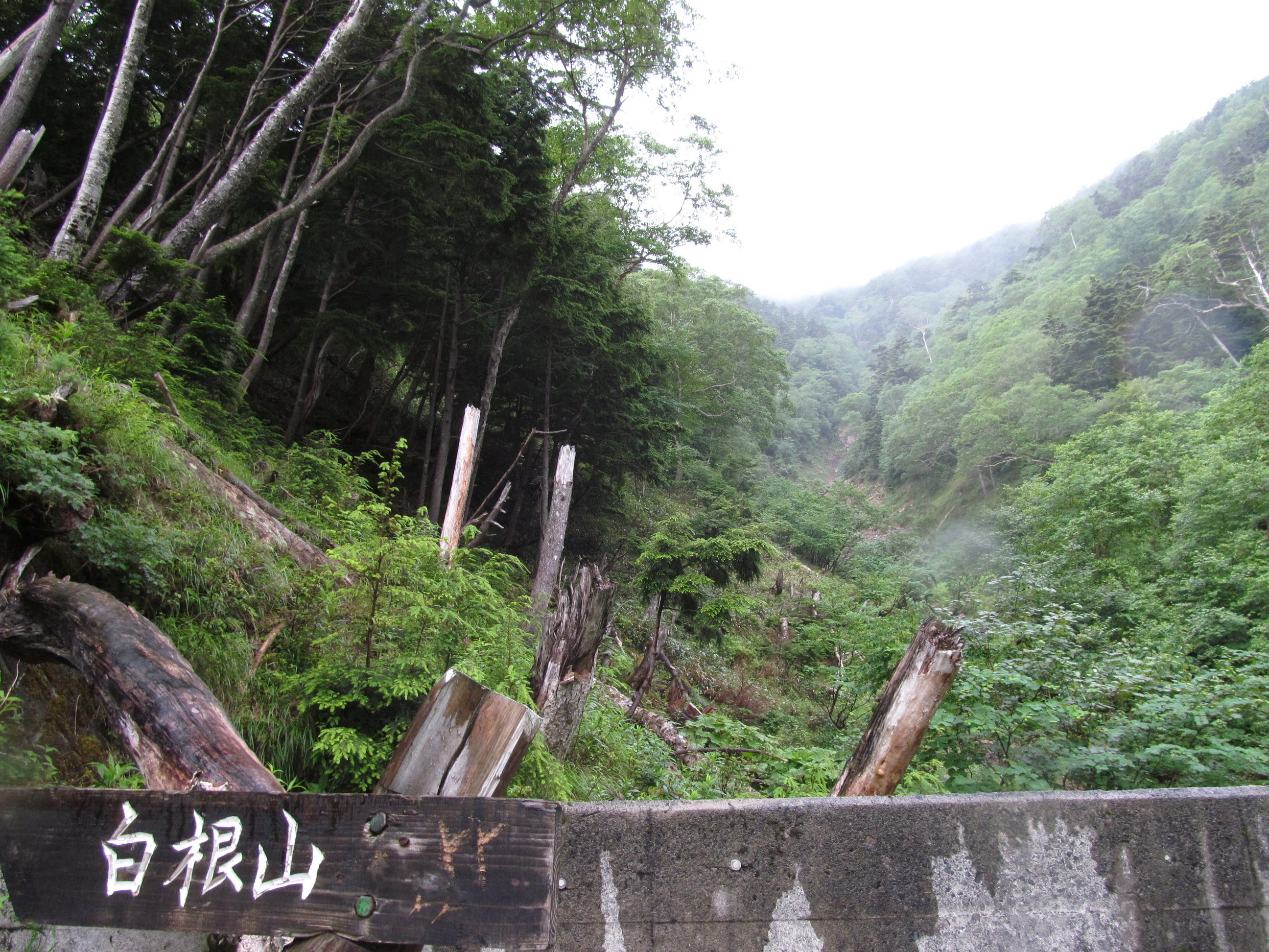 �R�����L