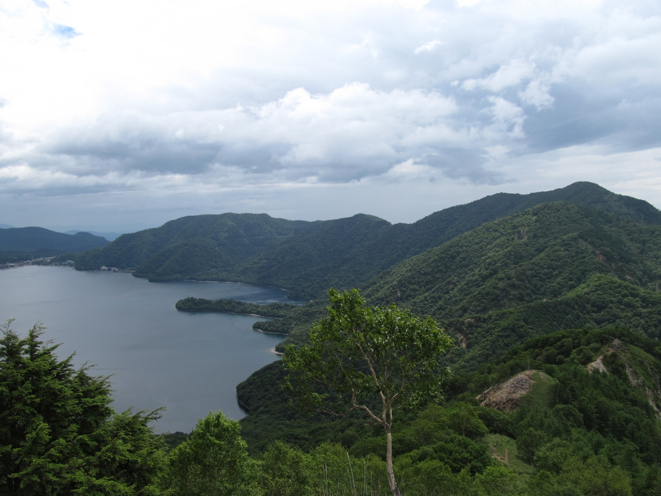 �R�����L