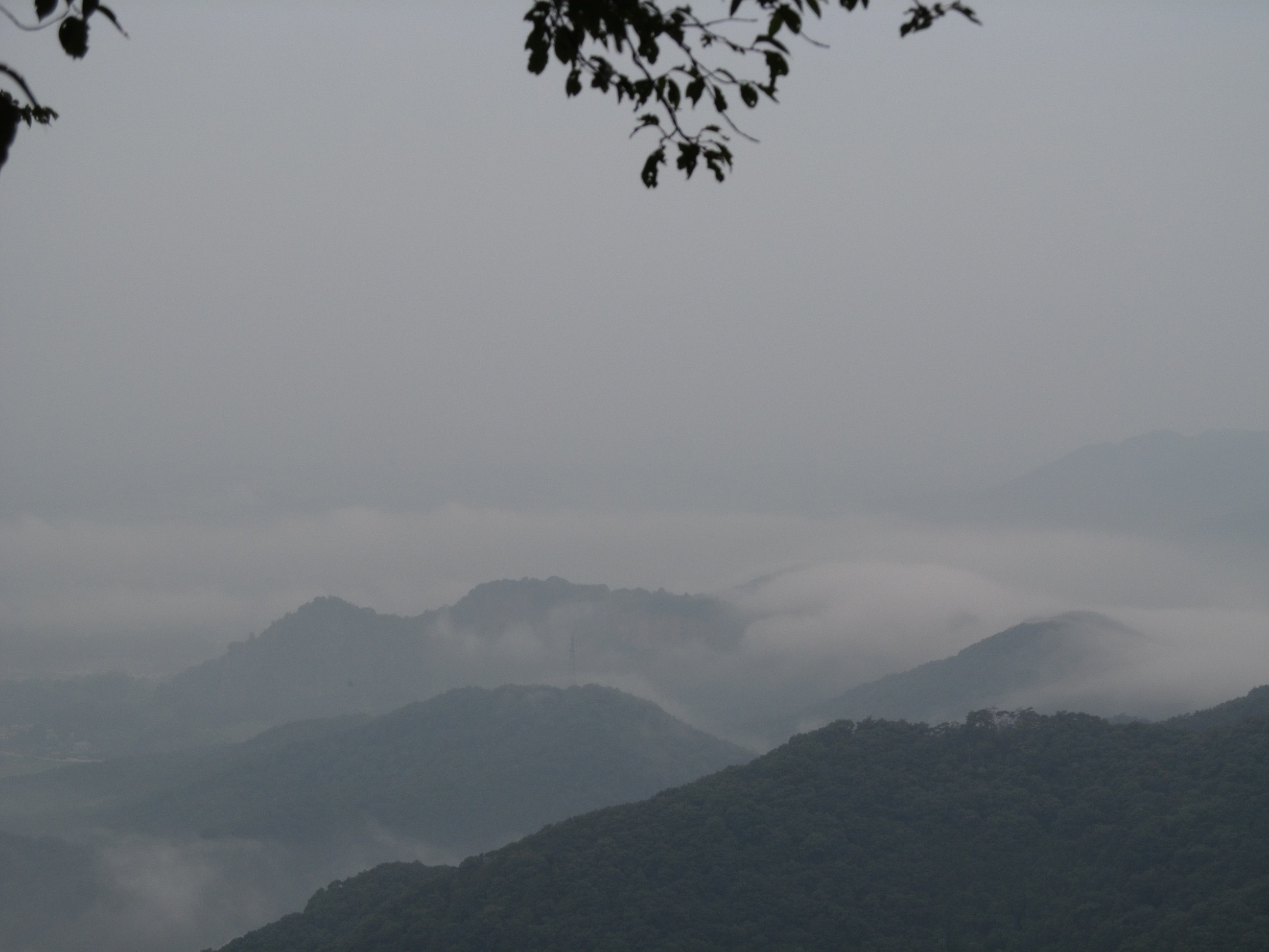 �R�����L