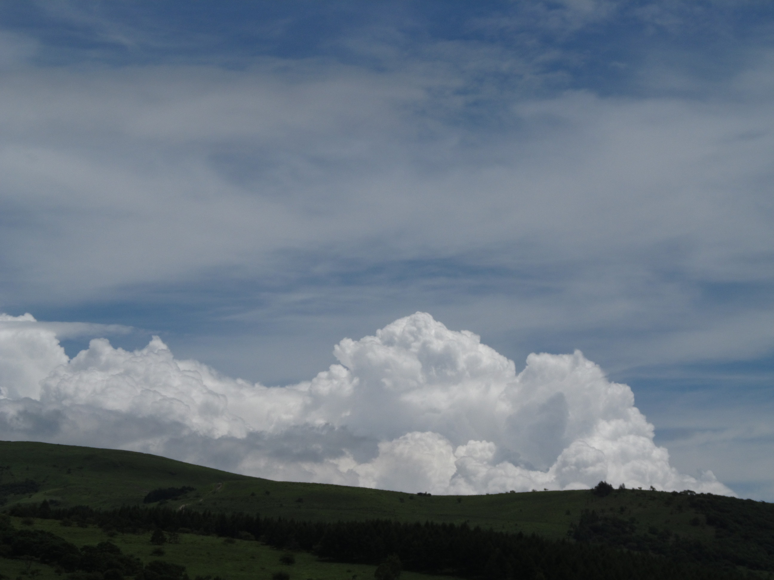 �R�����L