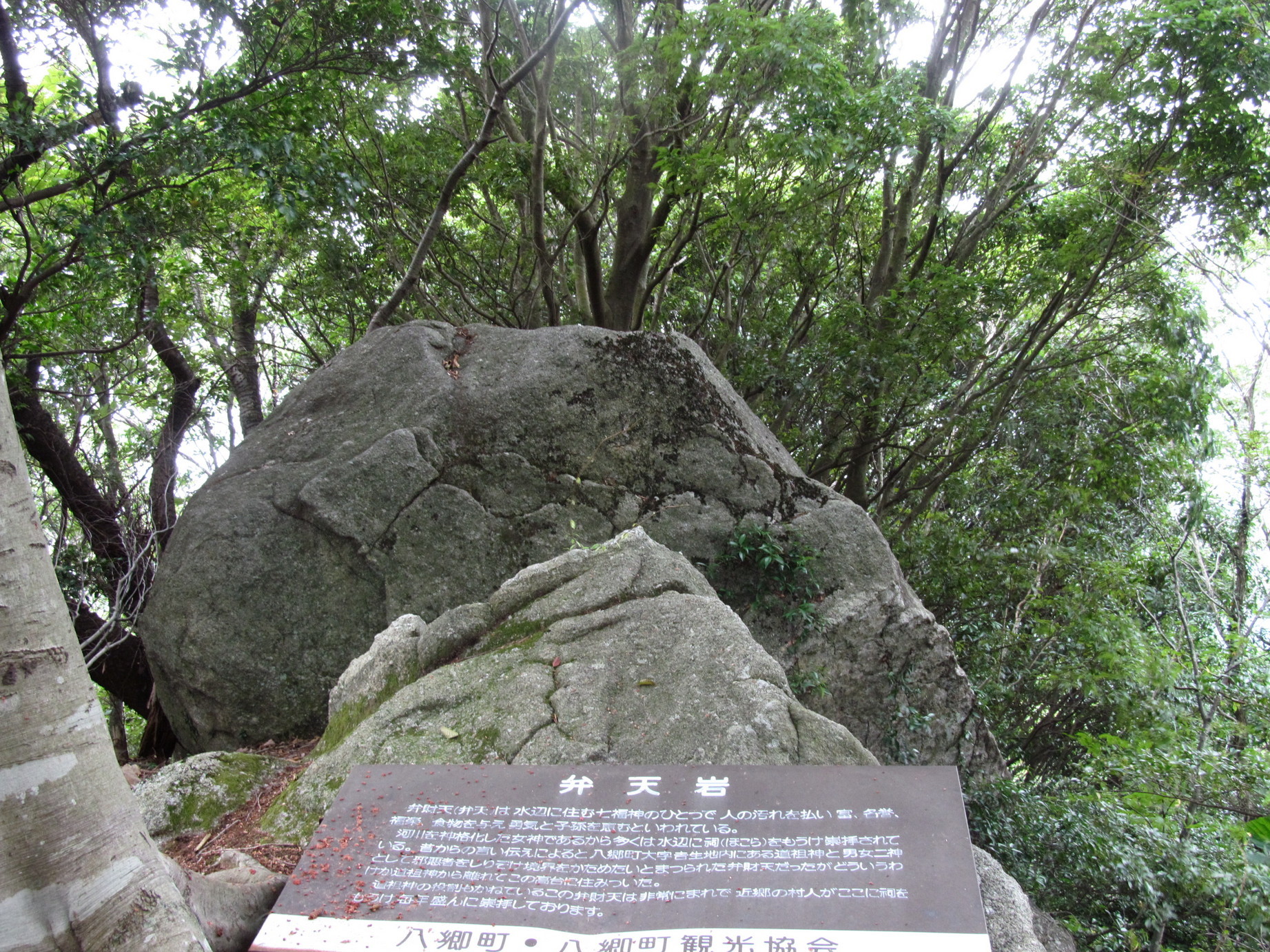 �R�����L