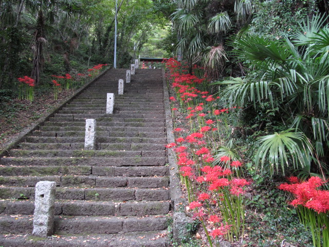 �R�����L