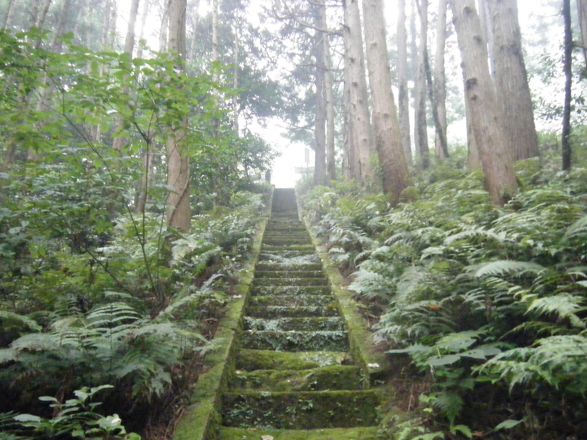 �R�����L