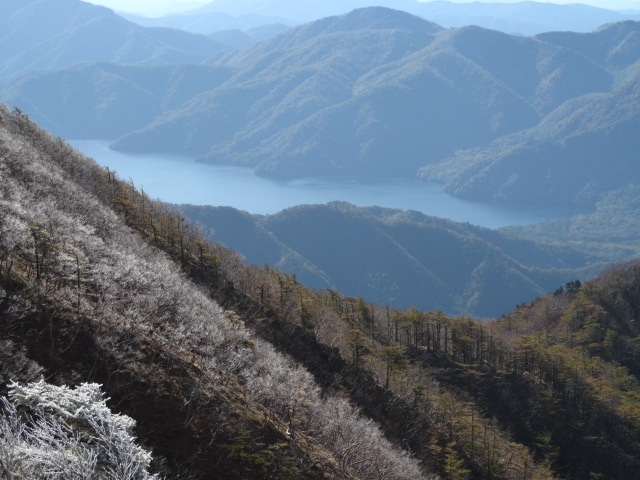 �R�����L