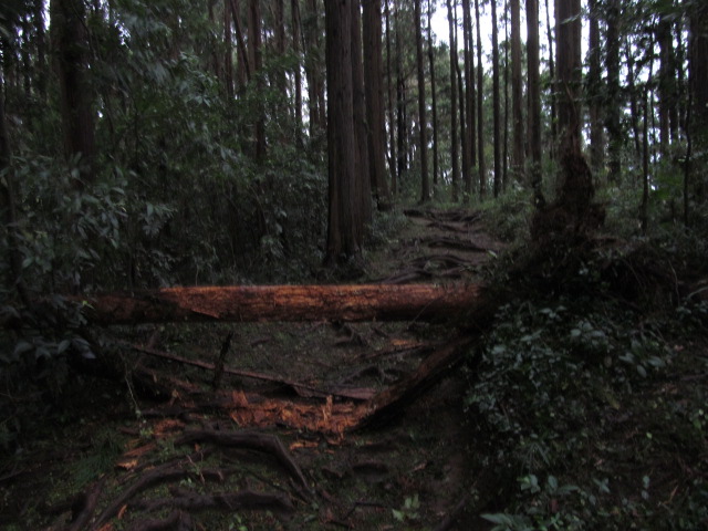 �R�����L