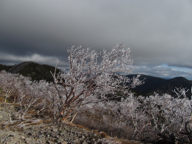 �R�����L