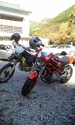 ���̓��I����