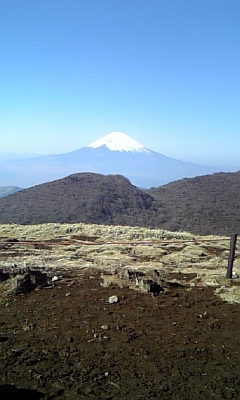 ���̓��I����