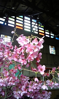 ���̓��I����