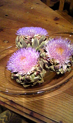 ���̓��I����