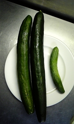 ���̓��I����