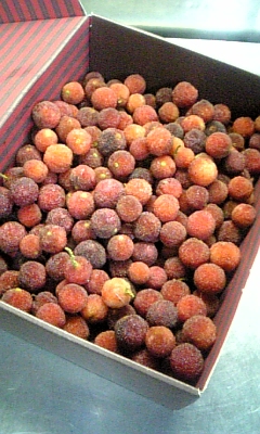 ���̓��I����