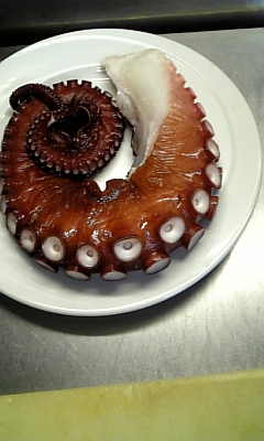 ���̓��I����