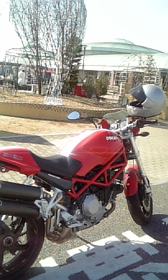 ���̓��I����