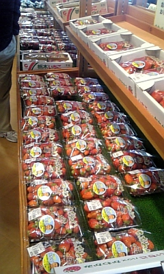 ���̓��I����