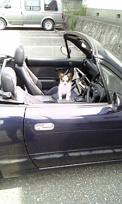 ���̓��I����