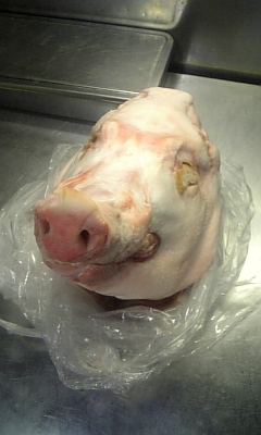 ���̓��I����