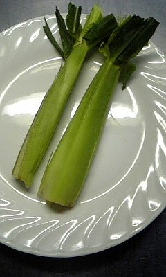 ���̓��I����