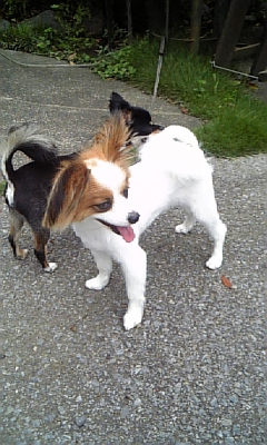 ���̓��I����