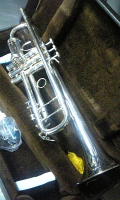 ���̓��I����