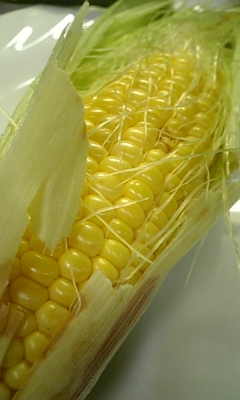 ���̓��I����