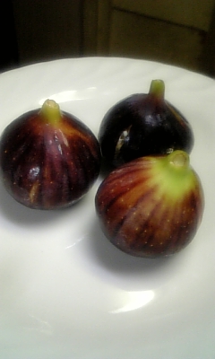 ���̓��I����